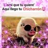 Larissa Cabrera - @larissacabrera24 - TikTok