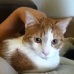 @larissa_calderon_222222 - Instagram