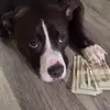 Larissa Calderon - @larissa.calderon - TikTok