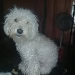 Larisa Castillo - Facebook
