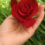 Larissa Castillo - Facebook