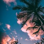 Larissa Davidson - Facebook