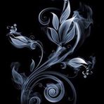Larissa Fleming - Facebook