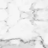 ❤️‍🩹larissa.frey❤️‍🩹 - @larissa.frey - TikTok