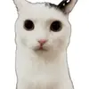 totally_larissaa - @larissahebert1 - TikTok