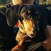 Larissa Engelbart Hendrickson - Facebook