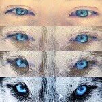 come stalk my live with me ★ - @larissa_holmes - Instagram
