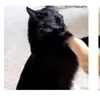 larissa 🐾☁ migajera💔 - @larissakeitharria - TikTok