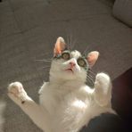 Larissa Lang - Facebook