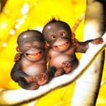 larissa laughlin - @_beauty_shadow_ - Instagram