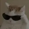 Lala_oups - @larissalogan6 - TikTok
