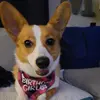 larissamarks588 - @larissamarks588 - TikTok
