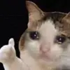 Larisa Mitchell - @user618071643 - TikTok