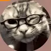 °• Larissa •° - @larissa.power.95 - TikTok
