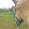 larissa_powergirl - @larissa_powergirl - TikTok