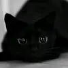 LarissaEinhornpower - @user29038933 - TikTok