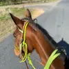 larissa - @larissarice8 - TikTok