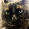 larissa._.stones - @larissa._.stones - TikTok