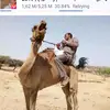 lion 🦁 wadi fira - @larissa.stone8 - TikTok