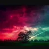 larissataylor41 - @larissataylor41 - TikTok
