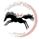 Larissa Terrell - @soaringponystudio_ - Instagram