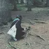 larissa‘ - @_.wolflarissa._ - TikTok