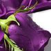 Laritza Lopez - Facebook