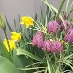 Lori Clark-Erickson - @lclarkerickson - Instagram