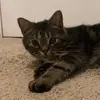 Mason Clark - @clark.mason - TikTok