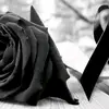 Lark Muñiz - @lark.muiz - TikTok