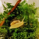 Lark - @lark_smith3435 - Instagram