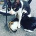 Larkin Larkin - Facebook