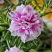 Larkin Larkin - Facebook