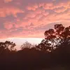 larkinlarkin - @larkinlarkin1 - TikTok