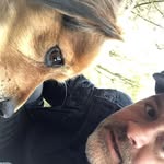 Larry Abel - @larryabel57 - Instagram