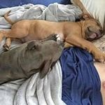 Larry P Agan - @aganlarryp - Instagram