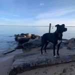 Larry Albaugh - @larry.albaugh - Instagram
