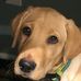 Larry J Albaugh - Facebook