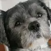 larry - @larryalbertbradbury - TikTok