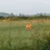 larryalberts - @larryalberts - TikTok
