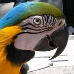 Larry Alfonso - @larry.alfonso1 - Instagram
