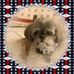 Laurie Alsup - Facebook