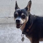 Larry Altman - @larry_altman - Instagram
