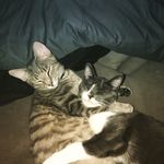 Larry & Walter - @larry._.walter - Instagram