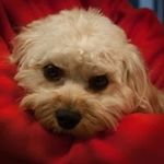 Larry Anspach - @larryanspach - Instagram