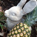 Larry P. Apple - @larry_the_pineapple - Instagram