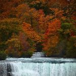 Larry Appelmann - @larry_appelmann - Instagram
