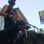 Larry Asay - @larryaasay - Instagram