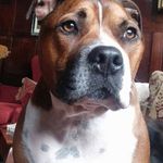 Larry Ashurst - @larryashurst - Instagram