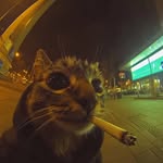 Larry Atha - @worst_humanbeing_ - Instagram